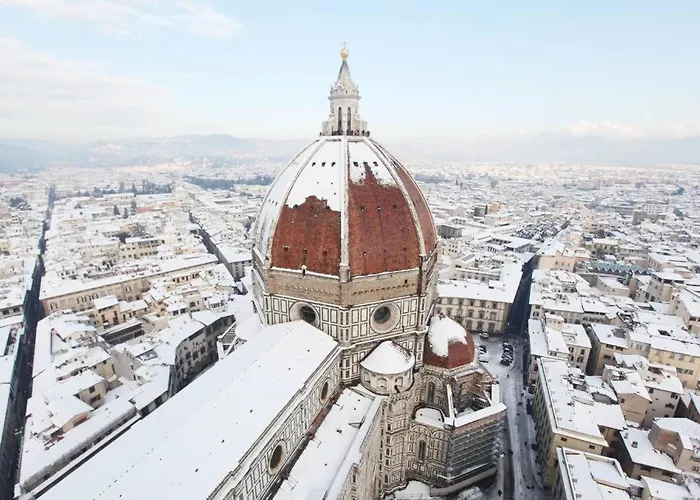 Basement Appartement